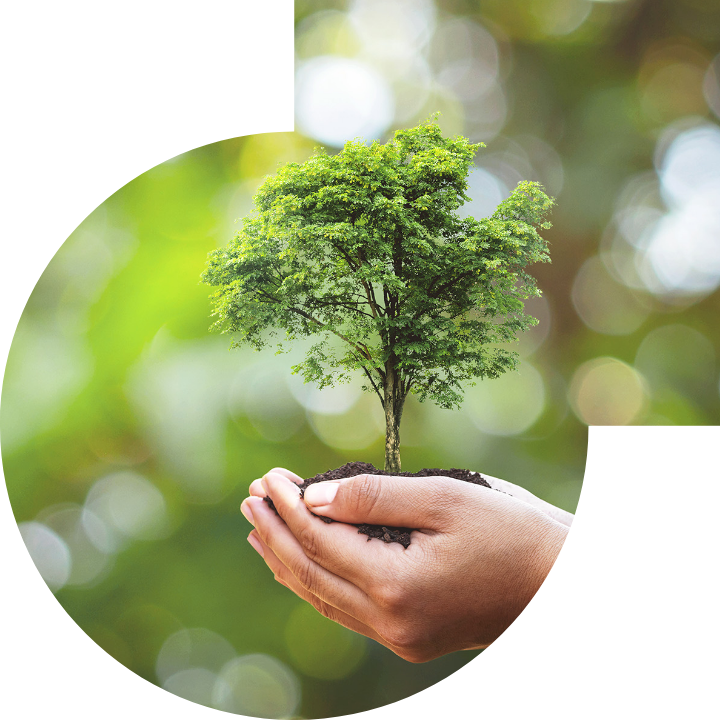 關懷人類、文化、環境與社會